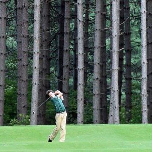 Meet your Posher, Brogan